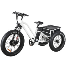 3 Wheel Electric Fat Tyre Tricycle for Cargo